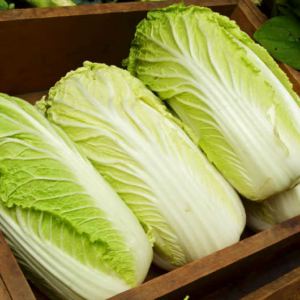 Cabbage Chinese